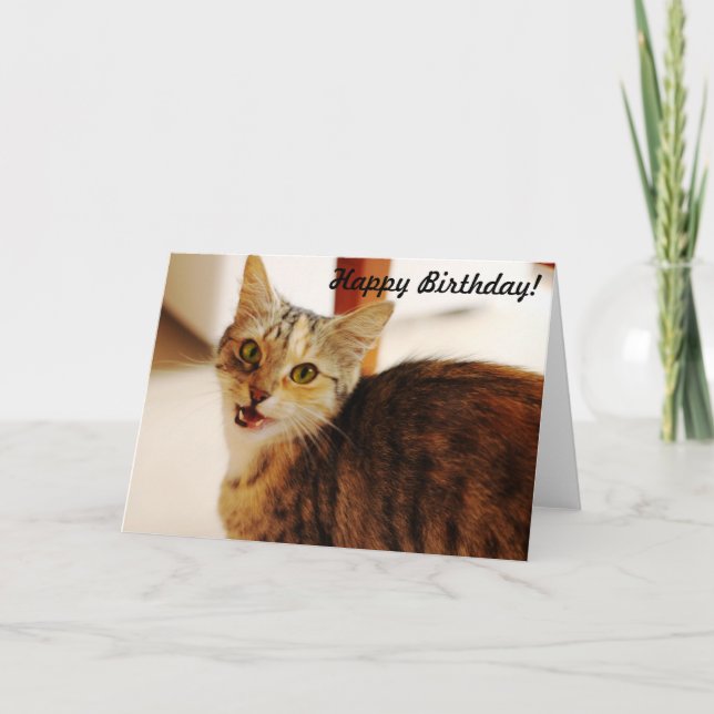 Tarjeta ¡Deje este gato desear un feliz cumpleaños! (Anverso)