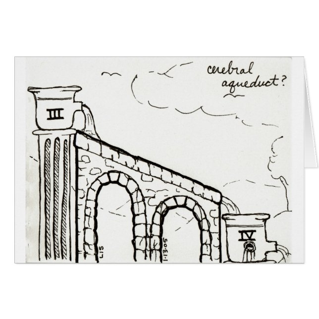 Tarjeta del acueducto cerebral (Anverso (Horizontal))