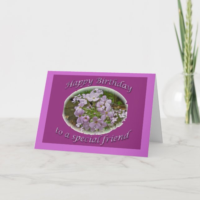 Tarjeta del amigo del cumpleaños del Phlox de (Anverso)