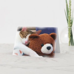 Tarjeta del amigo del peluche del gatito