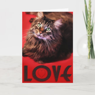 Tarjeta del AMOR