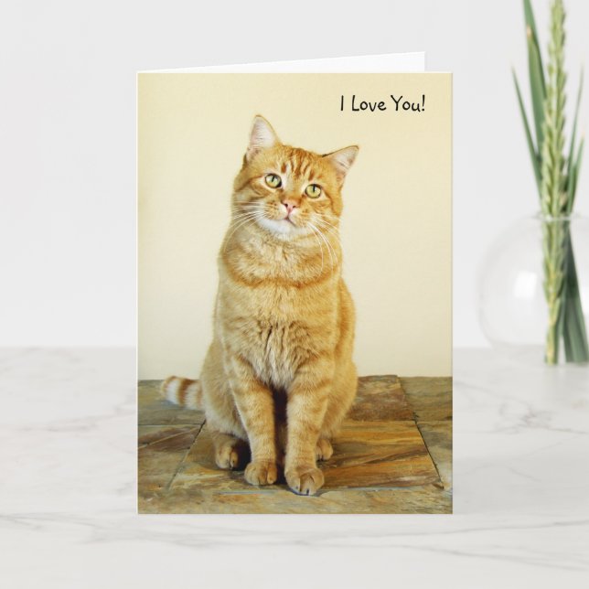Tarjeta del amor del gato de Tabby del jengibre (Anverso)