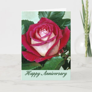 Tarjeta del aniversario de las flores 507