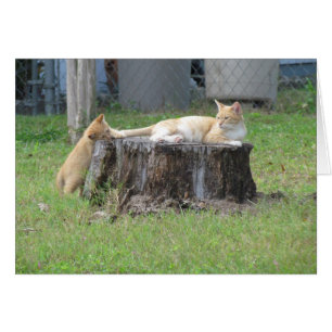 Tarjeta del aprecio de la mamá y del gatito