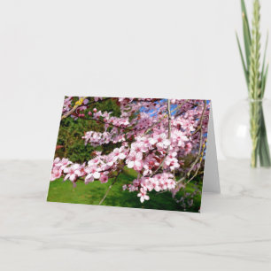 Tarjeta del árbol de flor de cerezo en el parque