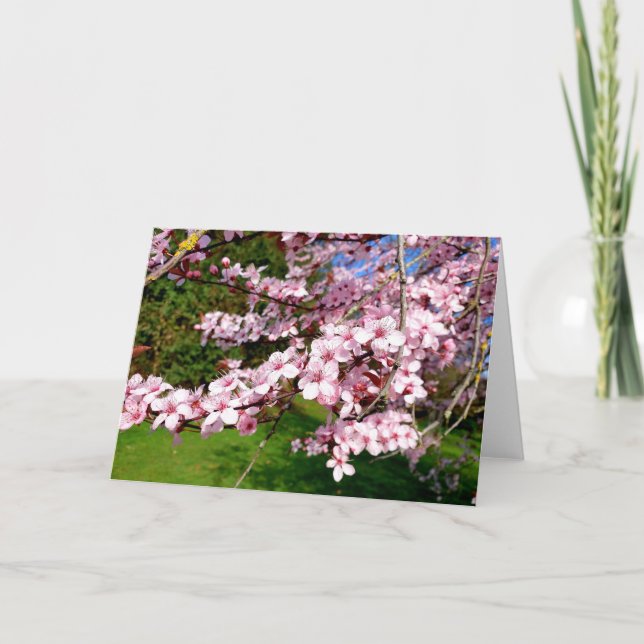 Tarjeta del árbol de flor de cerezo en el parque (Anverso)