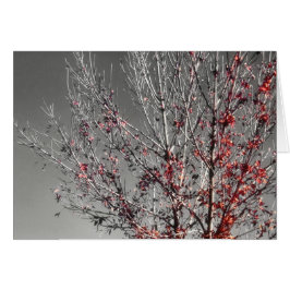 Tarjeta del árbol de la esperanza