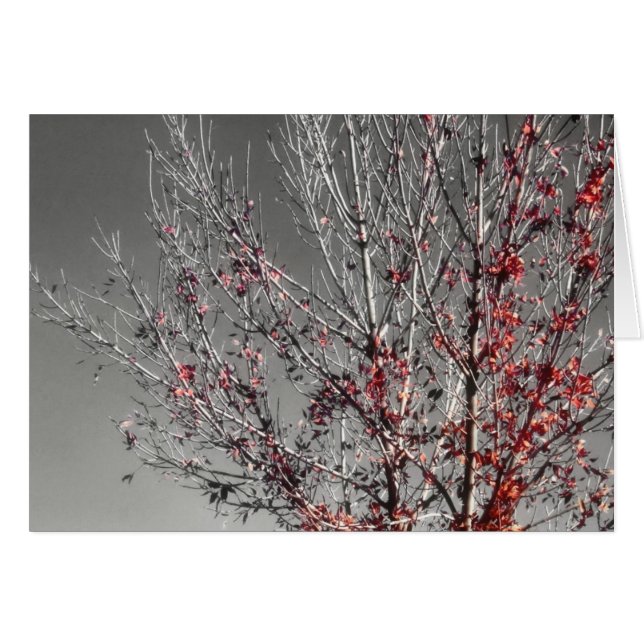 Tarjeta del árbol de la esperanza (Anverso (Horizontal))