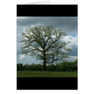 Tarjeta del árbol de la primavera