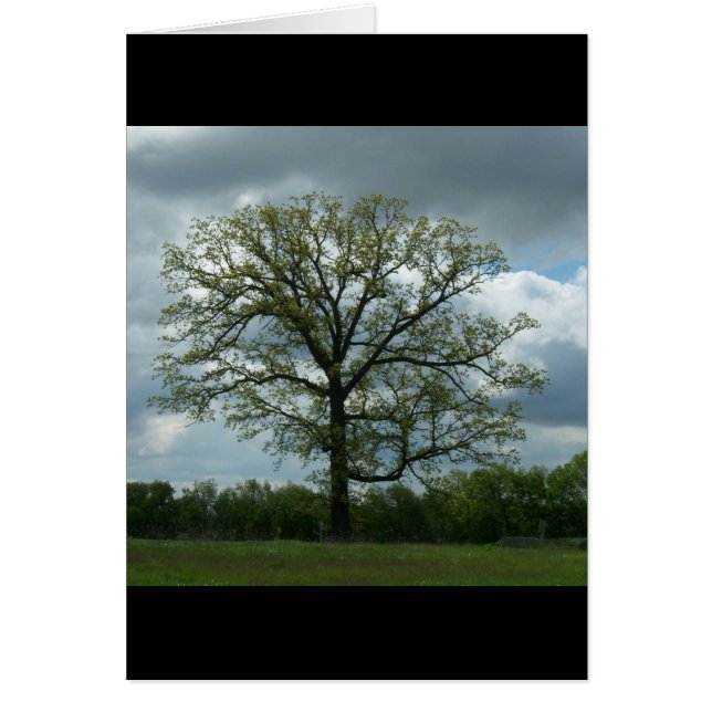 Tarjeta del árbol de la primavera (Frente)