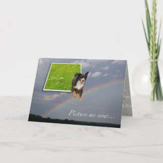 Tarjeta del arco iris de la condolencia del perro