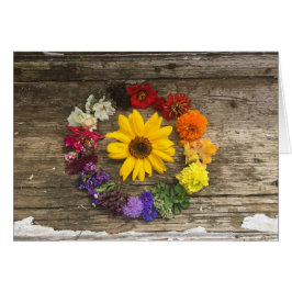 Tarjeta del arco iris del girasol