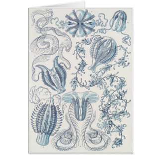 Tarjeta del arte de Ernst Haeckel: Ctenophorae