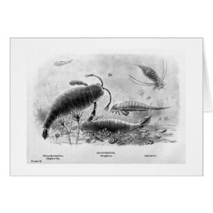 tarjeta del arte de los Mar-escorpiones