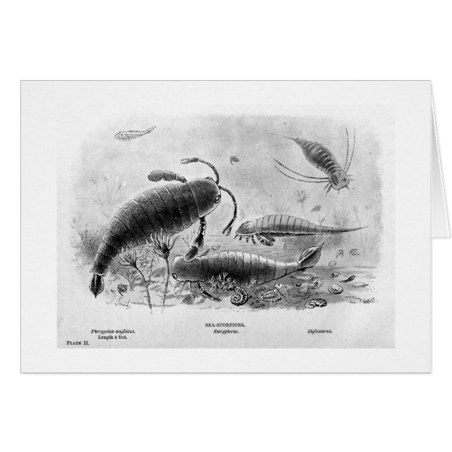 tarjeta del arte de los Mar-escorpiones (Anverso (Horizontal))