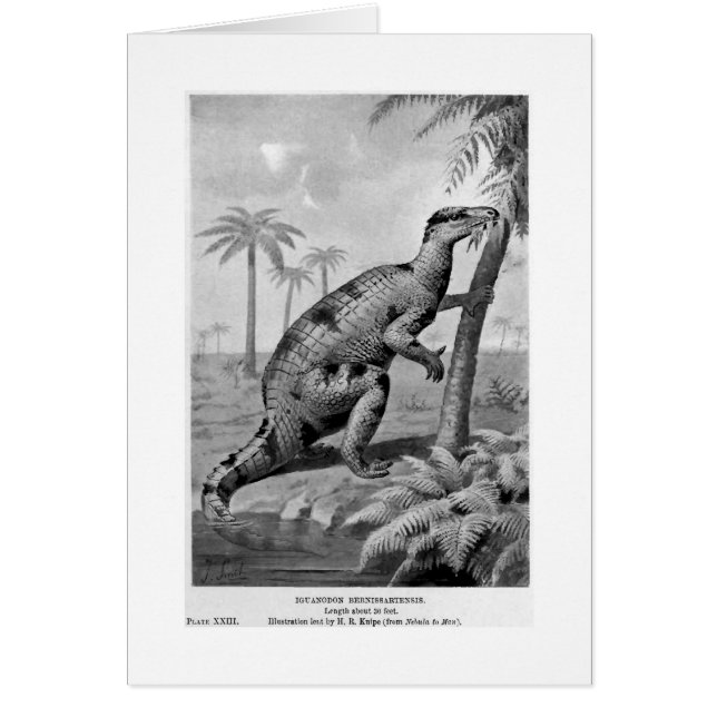 Tarjeta del arte del bernissartensis de Iguanodon (Frente)