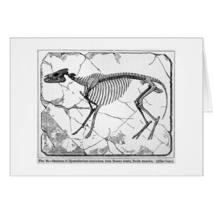 Tarjeta del arte del venticolum del Hyracotherium