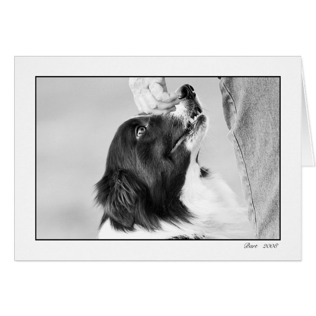 tarjeta del baronet (Anverso (Horizontal))