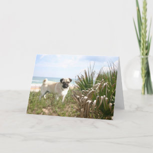Tarjeta del Beachgrass del barro amasado