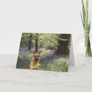 Tarjeta del bosque del pastor alemán