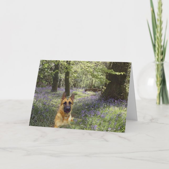 Tarjeta del bosque del pastor alemán (Anverso)