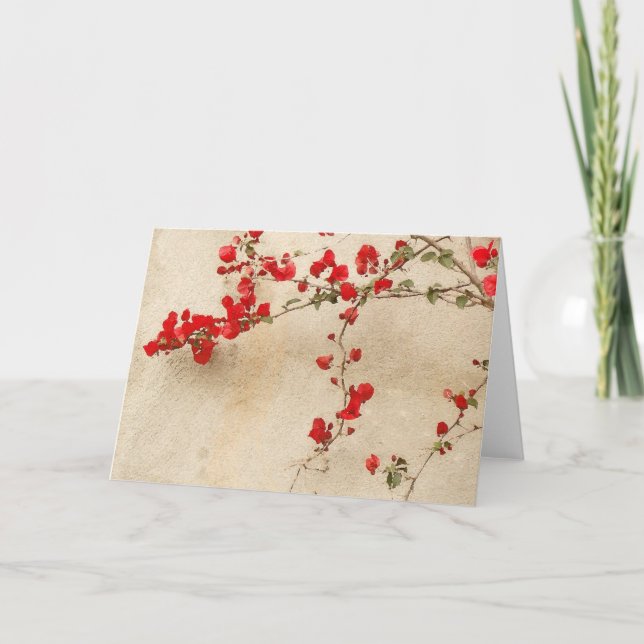 Tarjeta del Bougainvillea (Anverso)