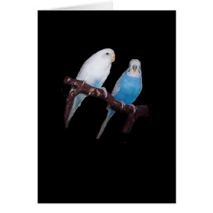 Tarjeta del budgie de Ariel y de Óscar