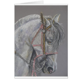 Tarjeta del caballo de Andualusian