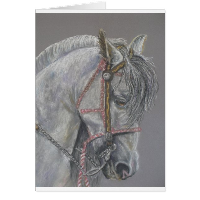 Tarjeta del caballo de Andualusian (Frente)