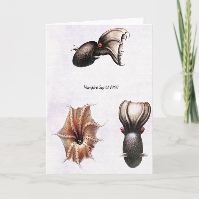 Tarjeta del calamar del vampiro (Anverso)