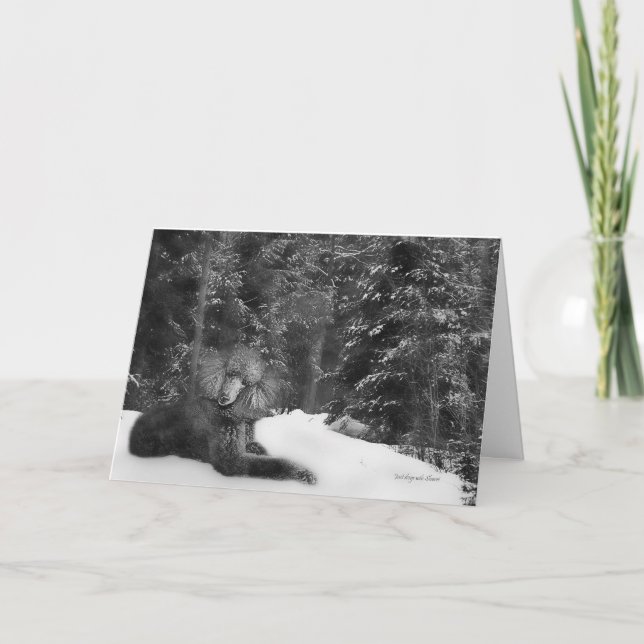 Tarjeta del caniche estándar (Anverso)