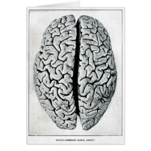 Tarjeta del cerebro del vintage