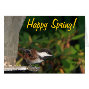 Tarjeta del Chickadee