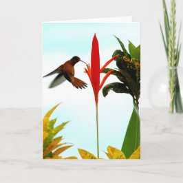 Tarjeta del colibrí (actitud 1)