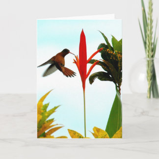 Tarjeta del colibrí (actitud 1)