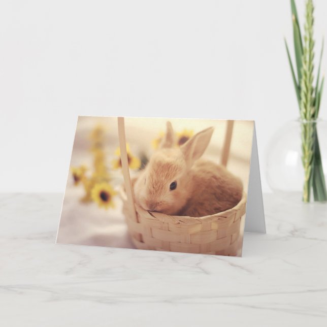 Tarjeta del conejito de pascua (Anverso)
