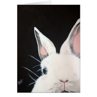 Tarjeta del conejo