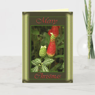 Tarjeta del cono del pino del navidad