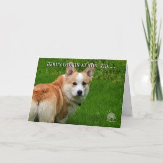 Tarjeta del Corgi Galés del Pembroke