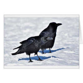 Tarjeta del cuervo