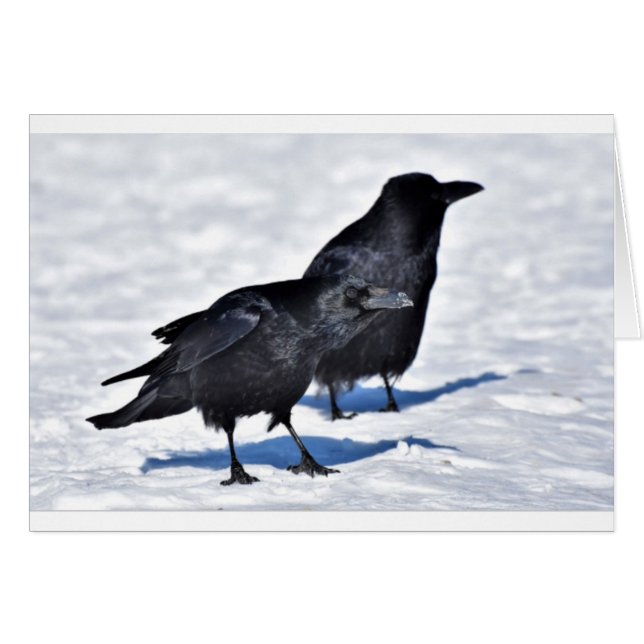 Tarjeta del cuervo (Anverso (Horizontal))