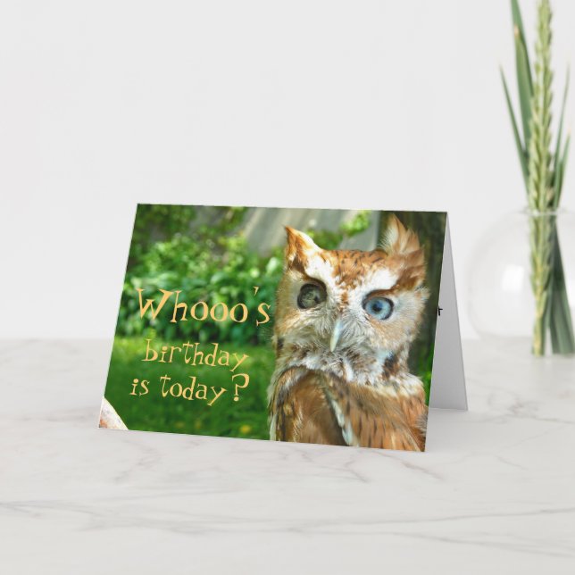 Tarjeta del cumpleaños de Whooo (Anverso)