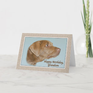 Tarjeta del cumpleaños del nieto con el perro de