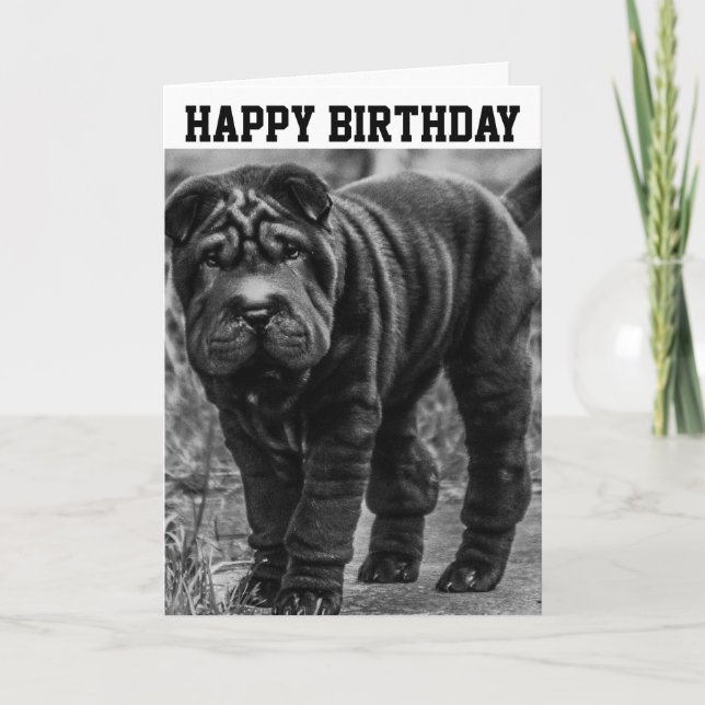 TARJETA DEL CUMPLEAÑOS DEL PERRO DE LA ZONA DE LA  (Anverso)