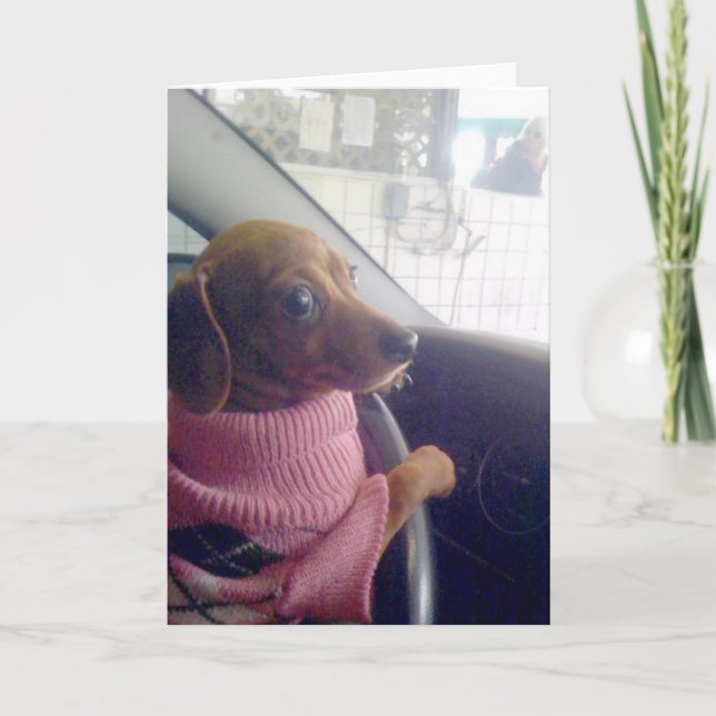 Tarjeta del Dachshund (Anverso)