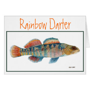 Tarjeta del Darter del arco iris
