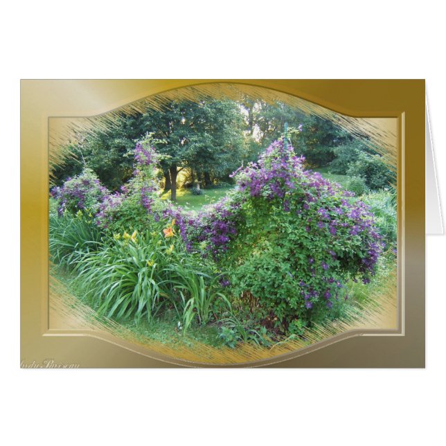 Tarjeta del ~ del Clematis de Swagged (Anverso (Horizontal))