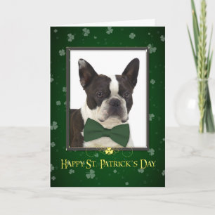 Tarjeta del día de Boston Terrier St Patrick