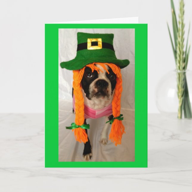 Tarjeta del día de Boston Terrier St Patrick (Anverso)