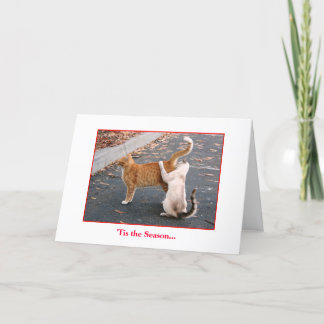 Tarjeta del día de fiesta